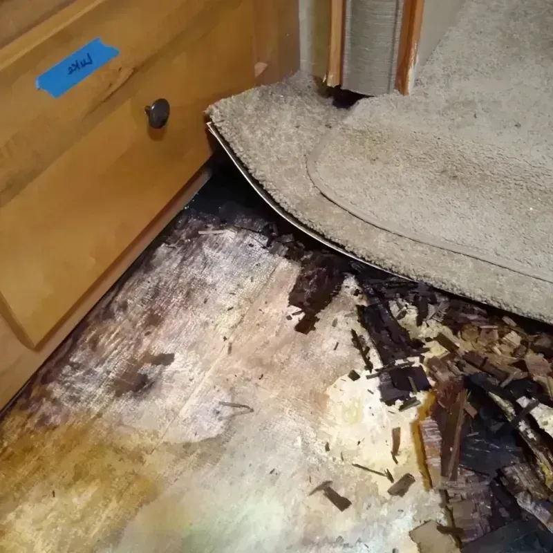 Wood Floor Water Damage in Salem Heights, OH